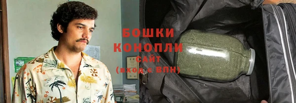 PSILOCYBIN Лабытнанги