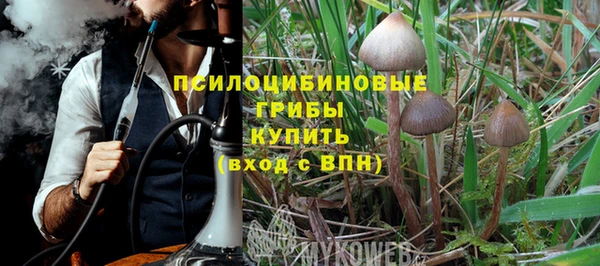 PSILOCYBIN Лабытнанги