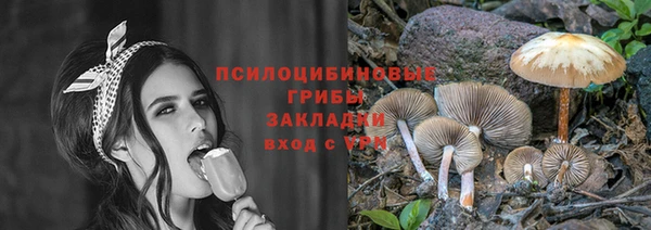 МДПВ Ладушкин