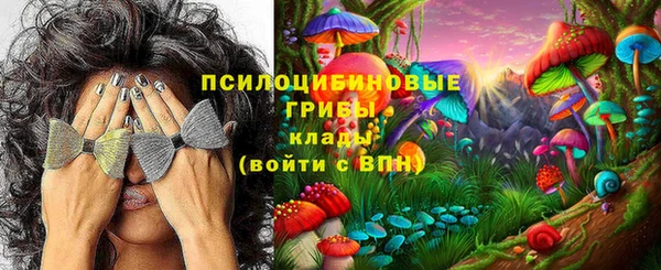 МДПВ Ладушкин