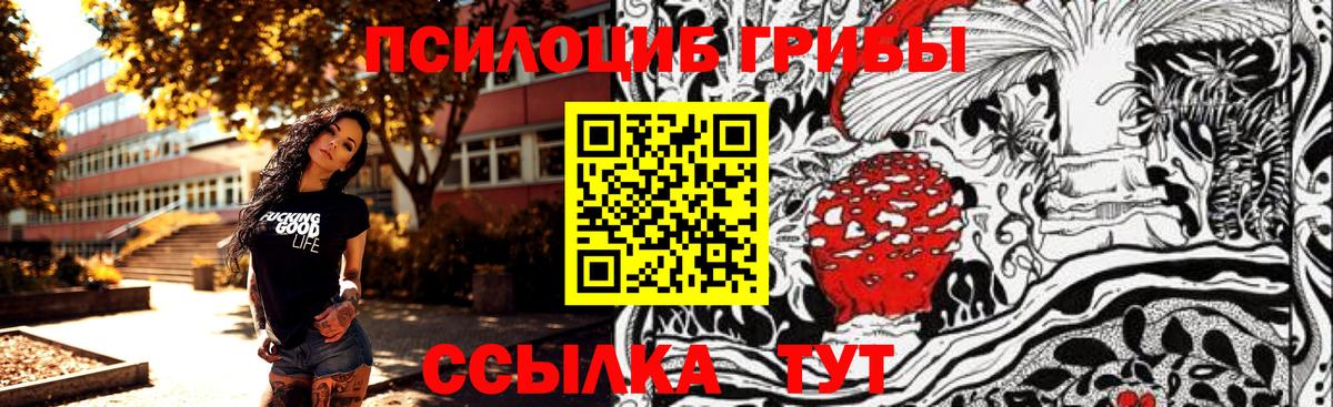 Магнитогорск  Псилоцибиновые грибы мицелий  Вход с VPN 