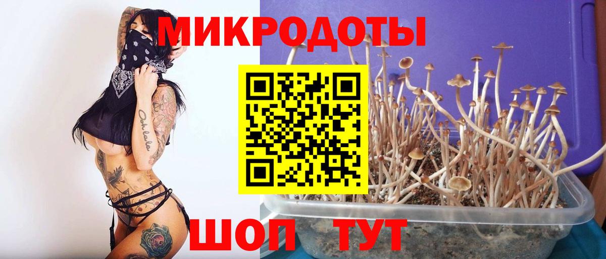 Галлюциногенные грибы Psilocybine cubensis Магнитогорск